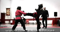 cOMBATico